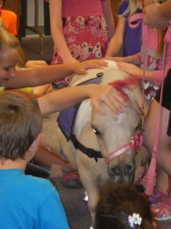 butterball gets petted